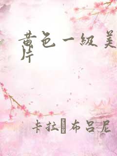 黄色一级美女情片