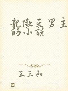 龙傲天男主是受的小说