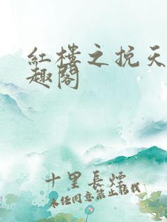 红楼之挽天倾笔趣阁