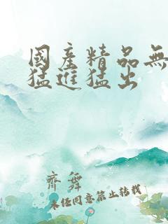 国产精品无遮挡猛进猛出