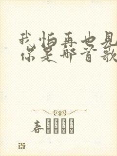 我怕再也见不到你是哪首歌的歌词