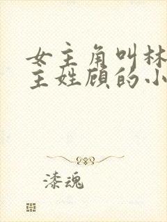 女主角叫林微男主姓顾的小说