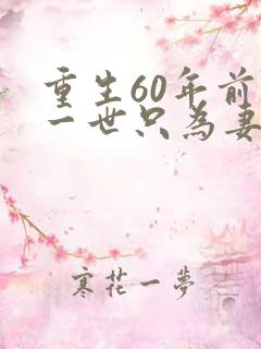 重生60年前这一世只为妻儿大结局