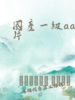国产一级aaa片