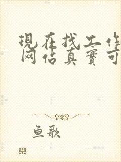 现在找工作什么网站真实可靠