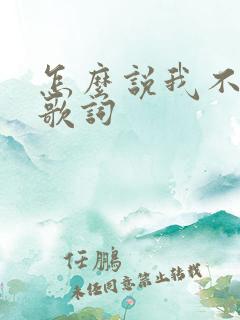 怎么说我不爱你歌词