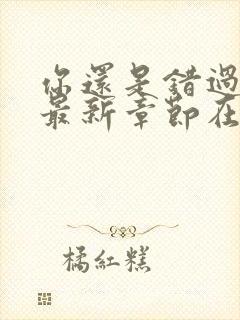 你还是错过了我最新章节在线阅读