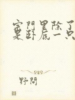 宗门里除了我都是卧底一只兔子啊