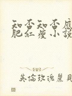 知否知否应是绿肥红瘦小说讲的什么