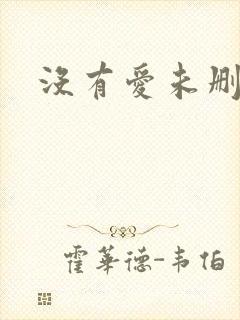 没有爱未删减版