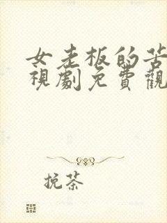 女老板的苦恼电视剧免费观看