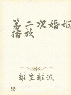 第二次婚姻免费播放