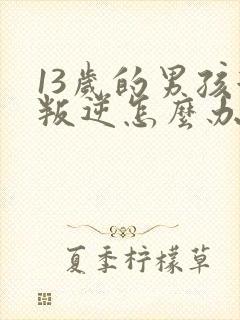 13岁的男孩很叛逆怎么办