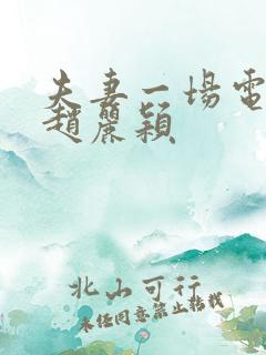 夫妻一场电视剧赵丽颖