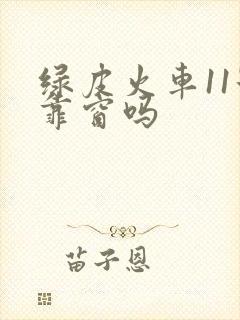 绿皮火车11号靠窗吗