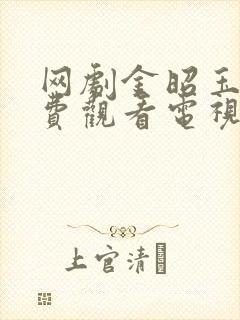 网剧金昭玉醉免费观看电视剧