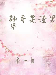 帅哥是渣男的概率