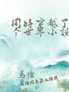 同时穿越了99个世界小说免费阅读