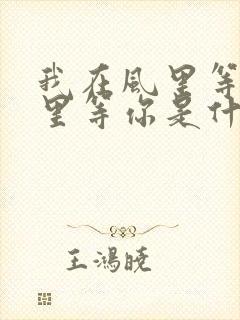 我在风里等你雨里等你是什么歌