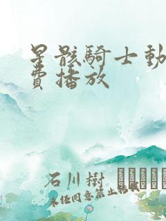 星骸骑士动漫免费播放