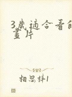 3岁适合看的动画片