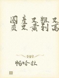 国产又粗又猛又爽又黄到高潮视频