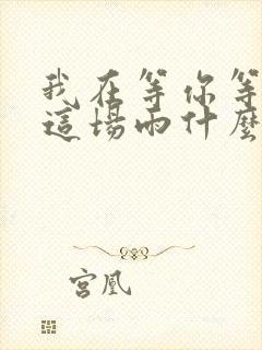 我在等你等下完这场雨什么歌词