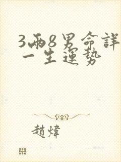 3两8男命详解一生运势