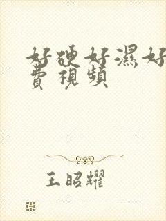 好硬好湿好爽免费视频