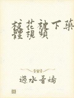 校花被下药玩身体视频