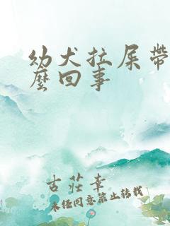 幼犬拉屎带血怎么回事