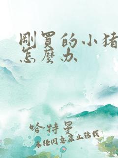 刚买的小猪拉稀怎么办