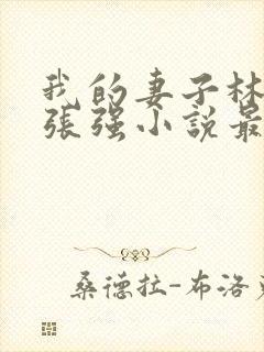 我的妻子林慧茹张强小说最新章节阅读