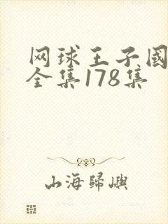 网球王子国语版全集178集