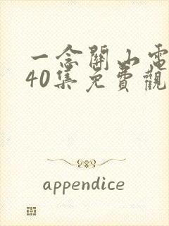 一念关山电视剧40集免费观看