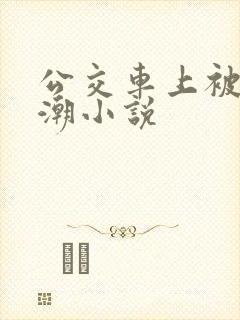 公交车上被蹭高潮小说