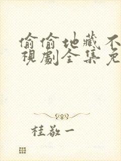 偷偷地藏不住电视剧全集免费观看