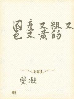 国产又粗又猛又色又黄的