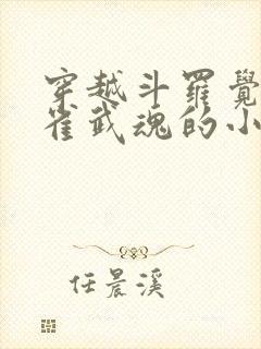 穿越斗罗觉醒朱雀武魂的小说