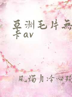 亚洲毛片无毛不卡av