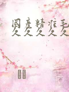 国产精准毛片久久久久久久av