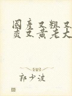 国产又粗又猛又爽又黄老大爷