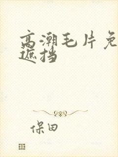 高潮毛片免费无遮挡