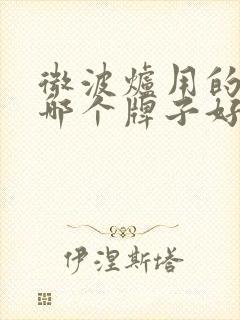 微波炉用的饭盒哪个牌子好