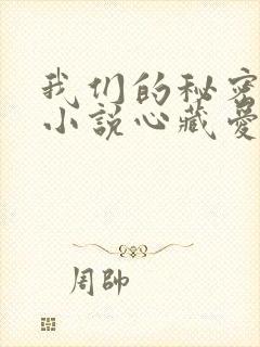 我们的秘密泰剧小说心藏爱