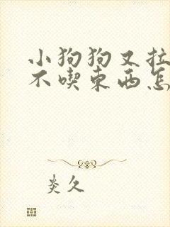 小狗狗又拉又吐不吃东西怎么办