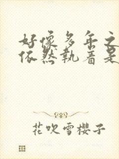 好像多年之后你依然执着是什么歌