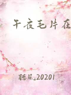 午夜毛片在线看