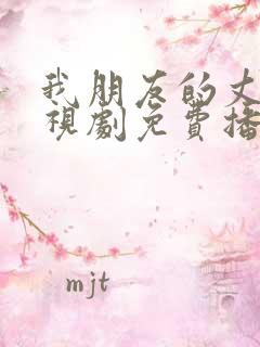 我朋友的丈夫电视剧免费播放