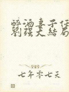 醉酒妻子任念与刘强大结局